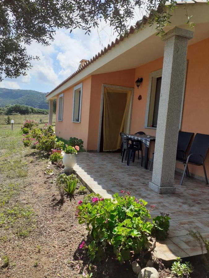 Agriturismo Gli Olivastri -Appartamento Bel Vedere Con Piscina ,Solarium E Vista Mare,Climatizzatore ,Wifi Альенту Экстерьер фото