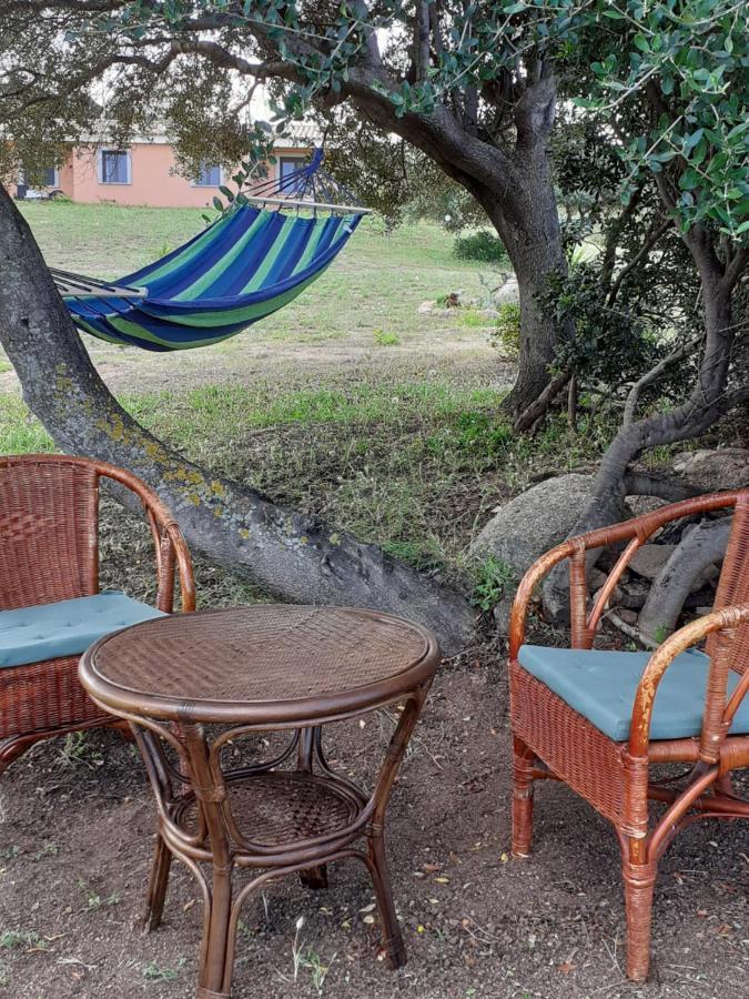 Agriturismo Gli Olivastri -Appartamento Bel Vedere Con Piscina ,Solarium E Vista Mare,Climatizzatore ,Wifi Альенту Экстерьер фото